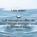 Milk and Honey Quotes on Water and Offer Life