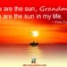 Kitty Tsui Quotes on Grandma is the Sun in my Life